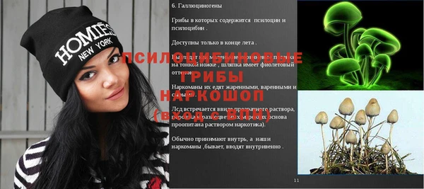 a pvp Баксан
