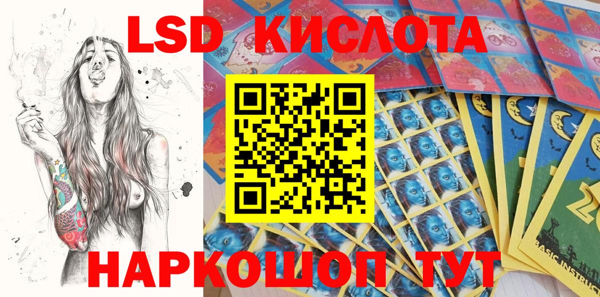 Псилоцибиновые грибы Баксан