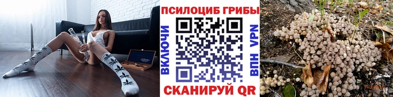 даркнет сайт  Баксан  гидра маркетплейс  Галлюциногенные грибы Psilocybe 